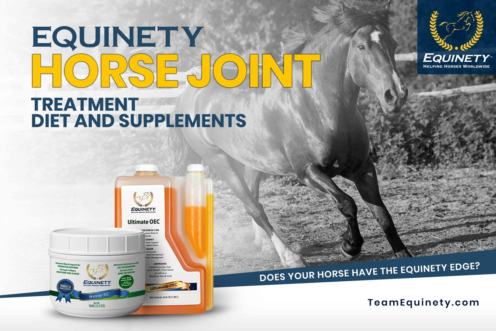 Best Horse Joint Treatment Diet and Supplements 2023