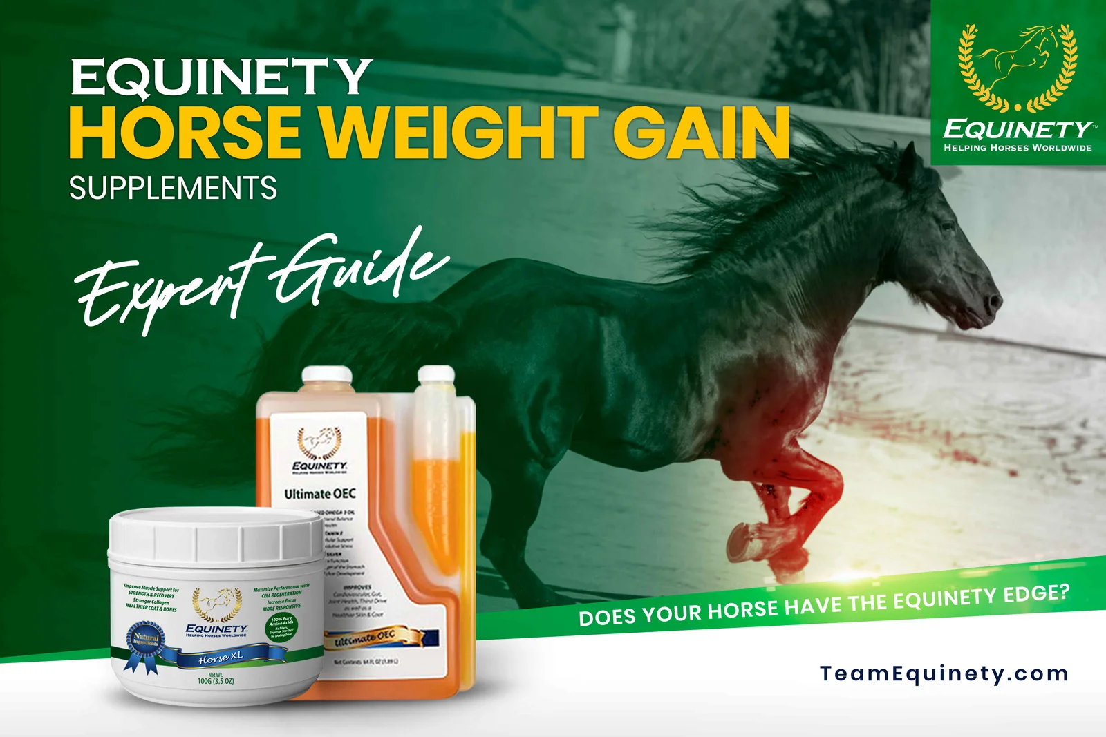 Horse Weight Gain Supplements (Expert’s Guide 2023)