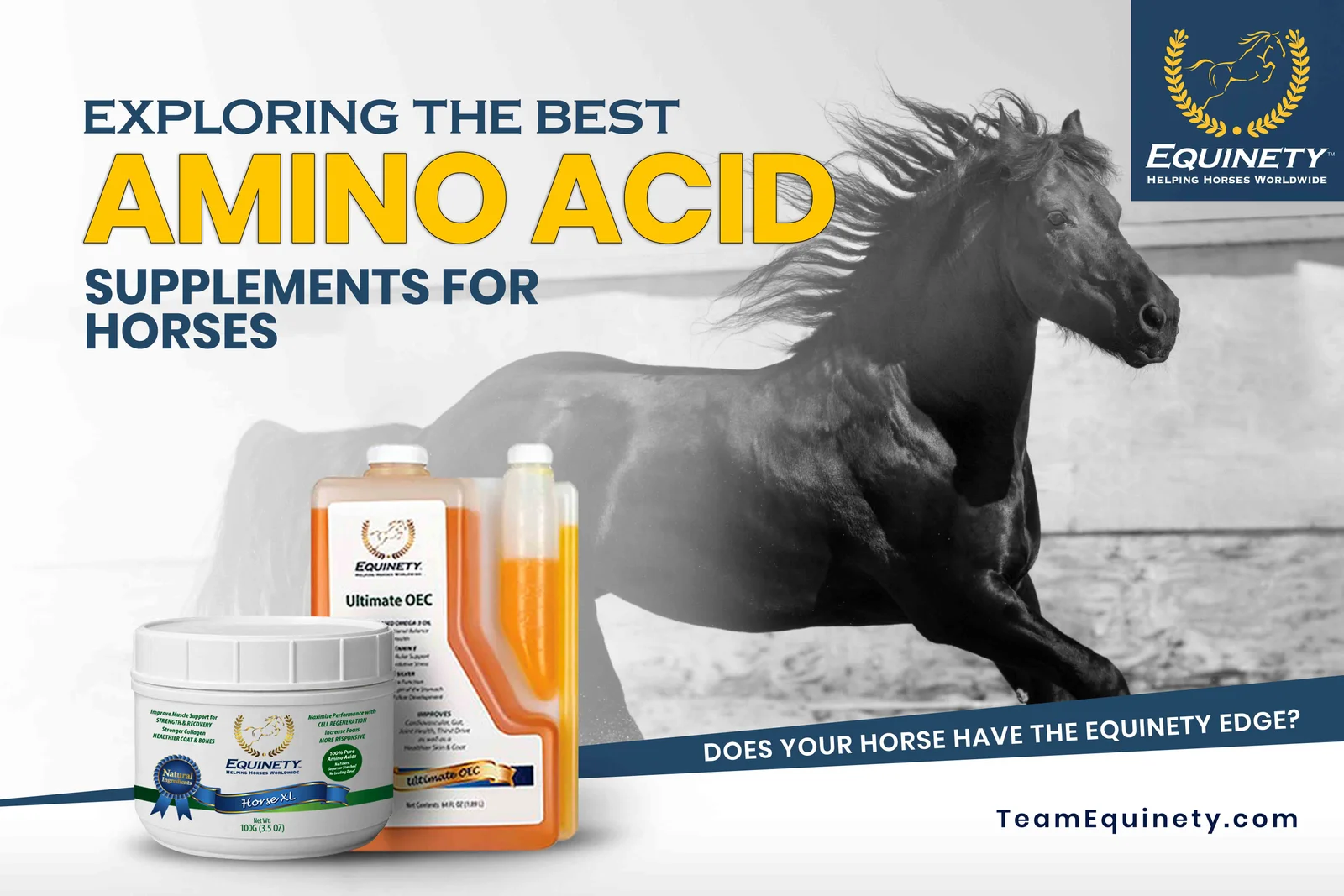 Exploring the Best Amino Acid Supplements for Horses