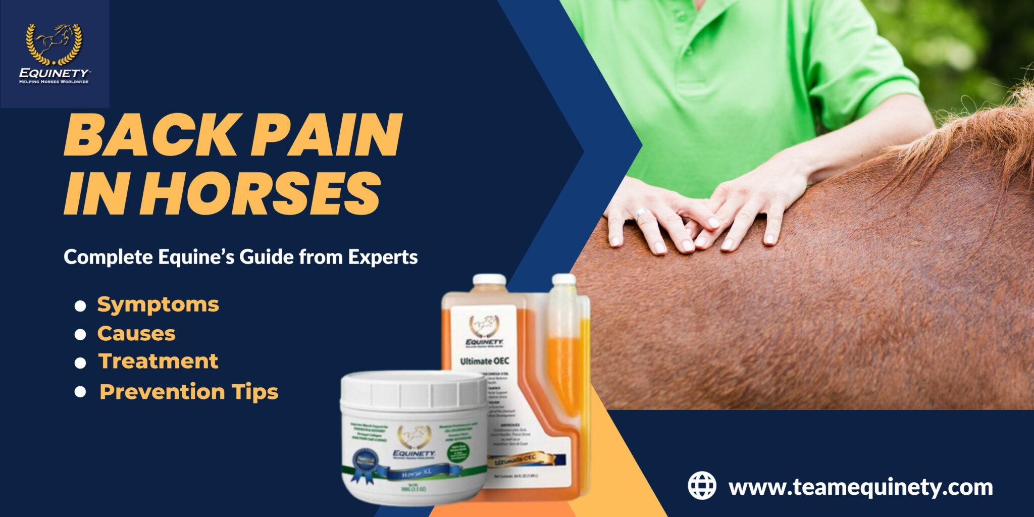 Back Pain in Horses: Symptoms, Causes, Treatment, Prevention Tips
