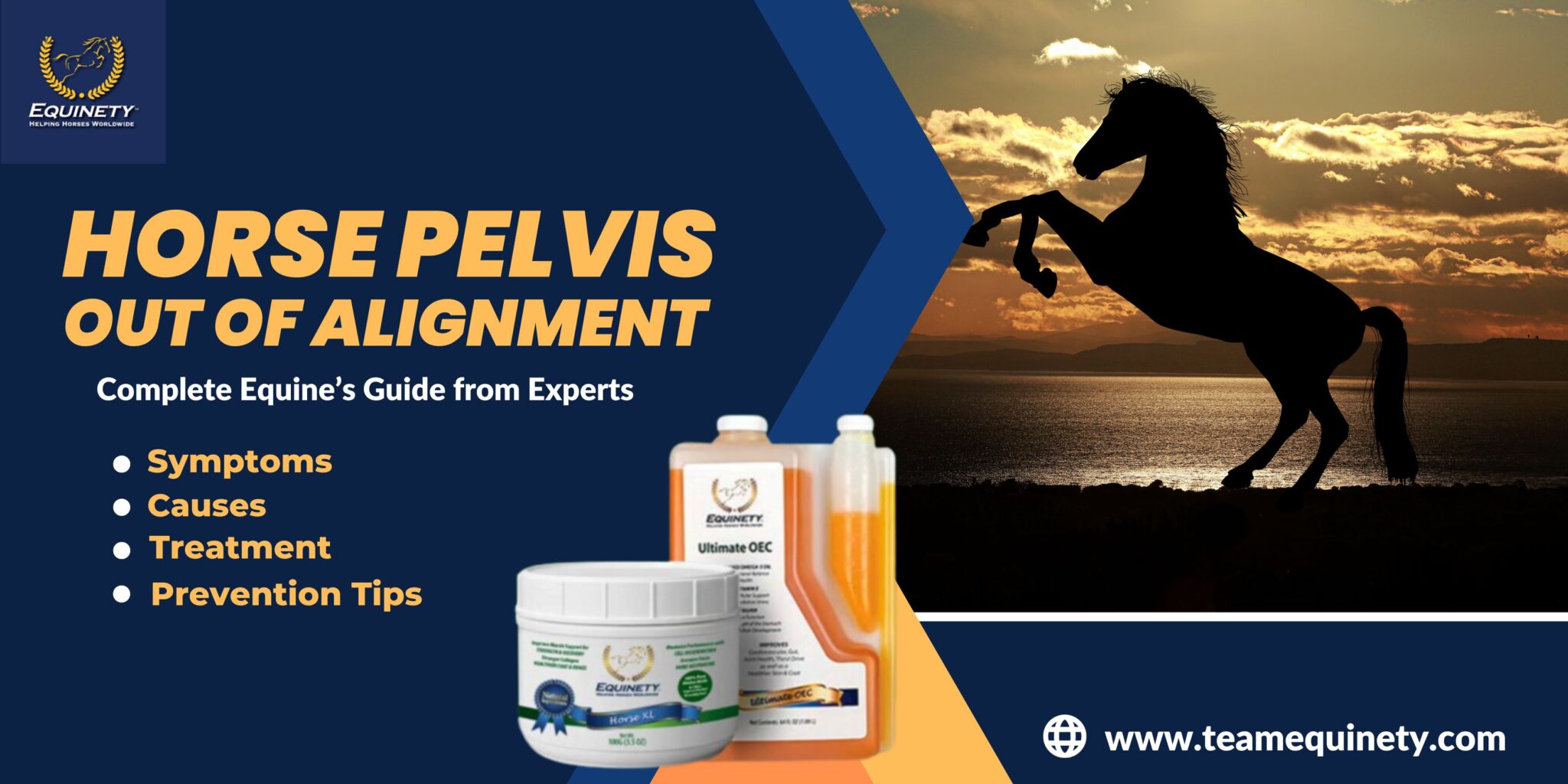Horse Pelvis Out of Alignment: Symptoms, Causes, Treatment and Prevention