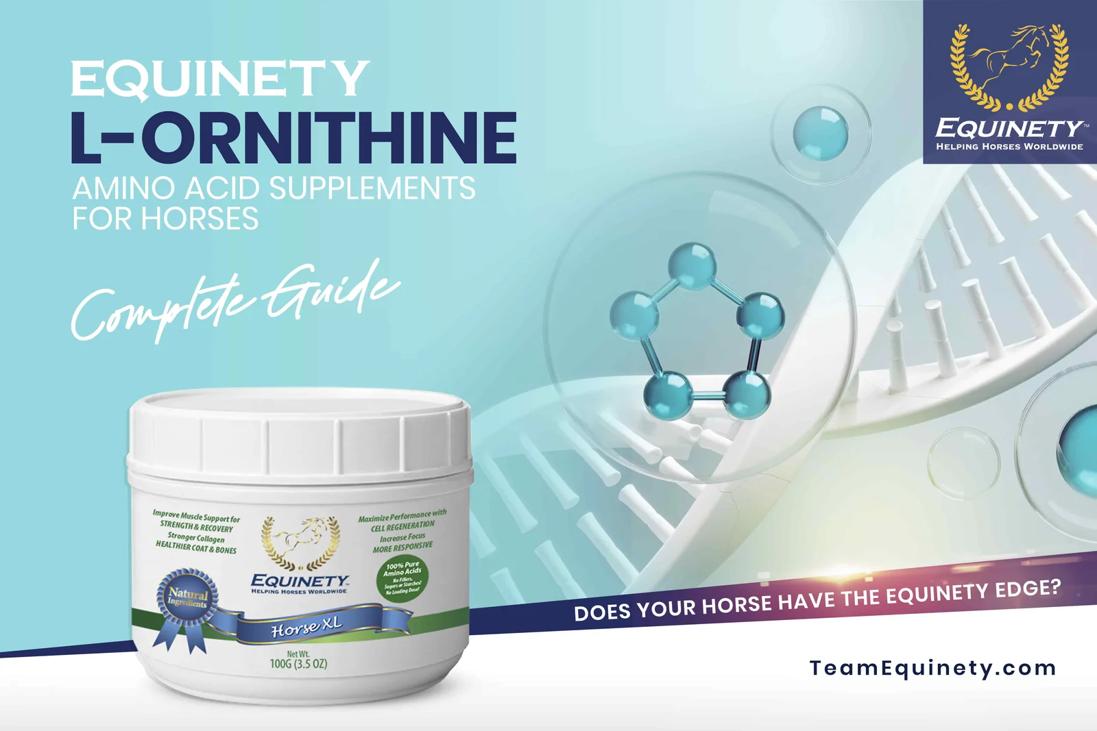 L-Ornithine Amino Acid Supplements for Horses (Complete Guide 2023)