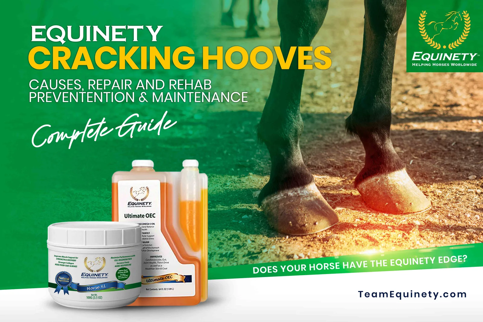 Understanding Cracking Hooves in Horses: Causes, Prevention, and Treatment