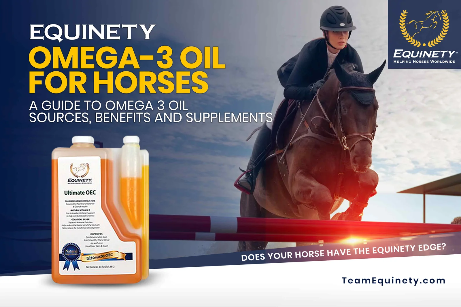 Omega-3 Oil vs. Omega-6 Oil Debate: Selecting the Ideal Supplement for Your Horse